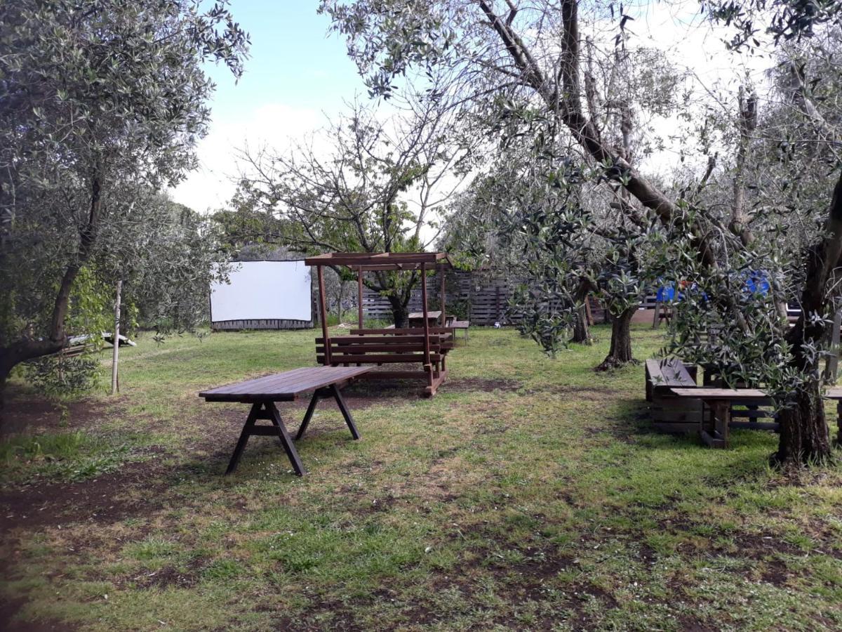 Bici Grill Decimo Miglio Aeroporto Ciampino Francigena Country House Exterior photo